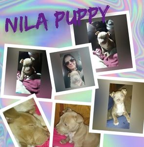 Meet your Posher, Mandy